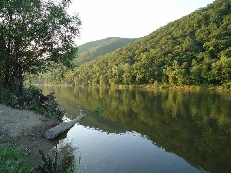 Пенсионер утонул в реке Дальней во время рыбалки в Приморье