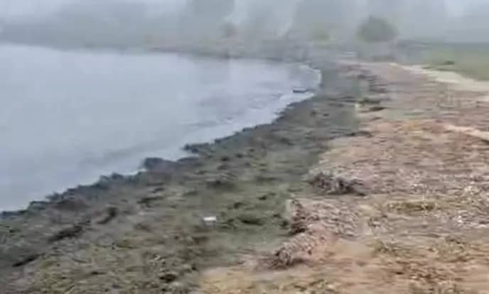 Пляж за автовокзалом в Находке загрязнён чёрной массой