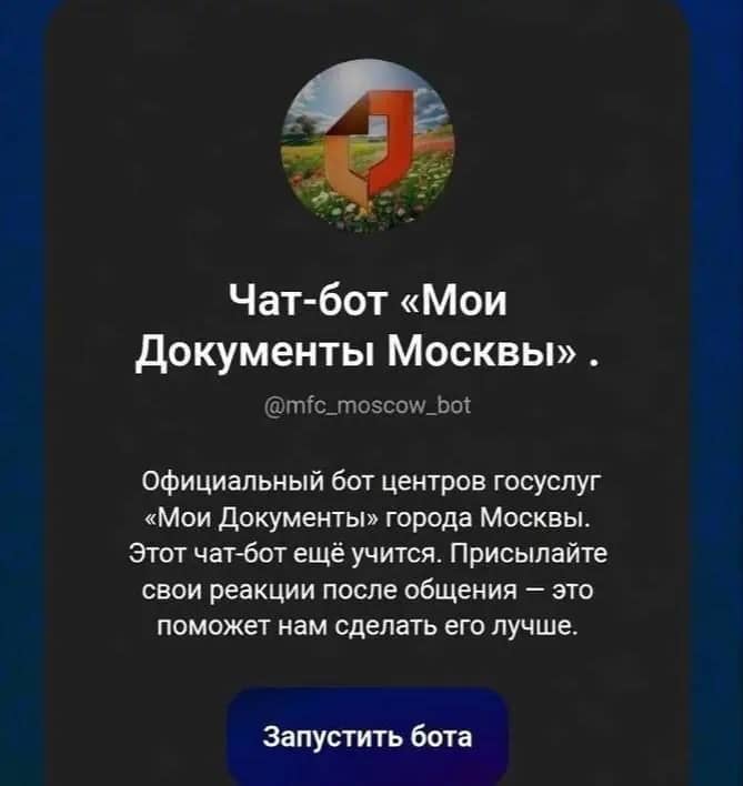 Запись на загранпаспорт в Москве обязали через мессенджер Max