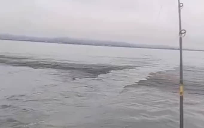Рыбаки из Находки сняли полосу угольной пыли в бухте Лашкевич