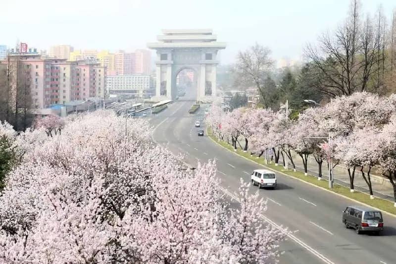 Автобусные рейсы из Владивостока в КНДР запустят до конца 2026 года