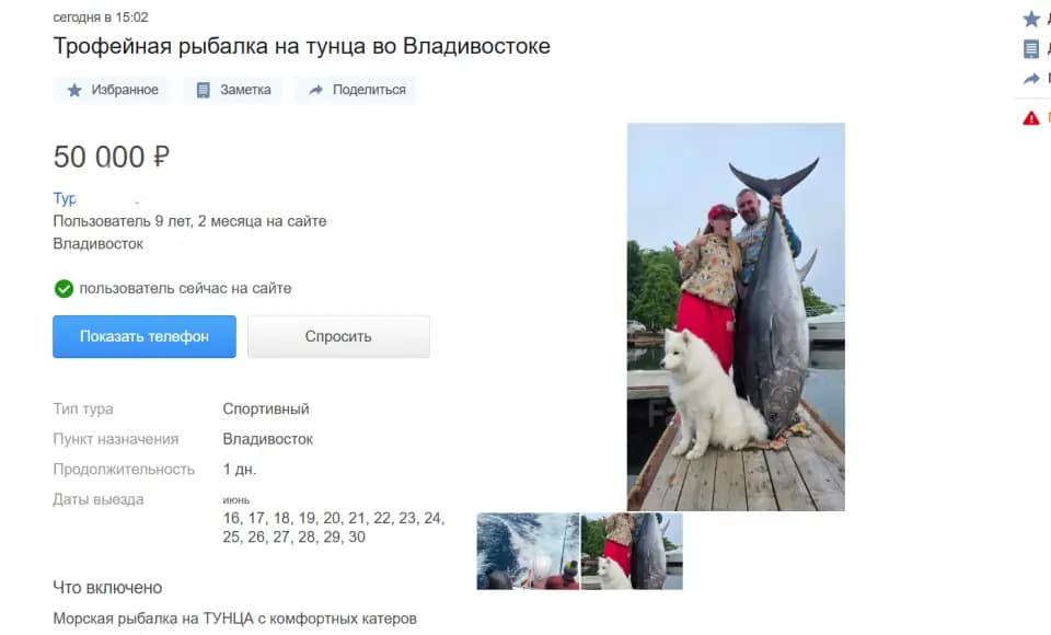 Сайты объявлений Приморья переполнены предложениями о продаже мяса тунца — фото 1