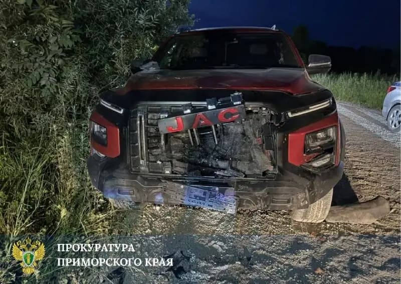 Семилетний мальчик погиб в ДТП с квадроциклом в Приморье — фото 1