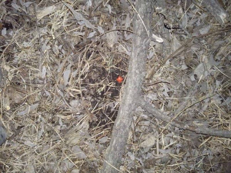 Закладчика из Артема задержали до реализации крупной партии наркотиков в Находке
