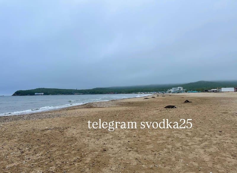 Тело мужчины, прыгнувшего с Русского моста, прибило к берегу в районе Шаморы