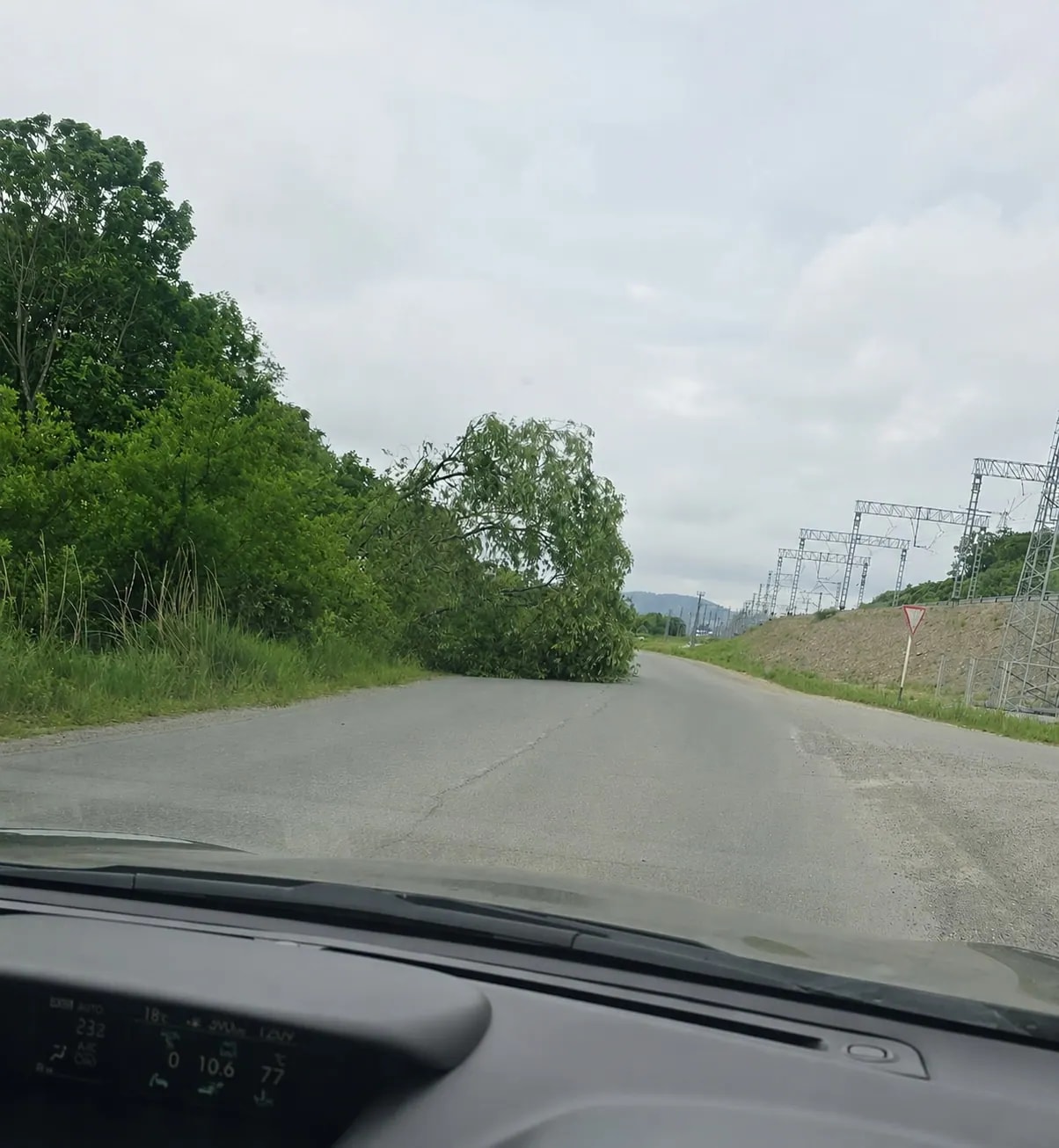 По дороге на Хмыловку на трассе лежит поваленное дерево