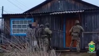 Ущерб от незаконной рубки леса в Приморье превысил 1,3 млн рублей