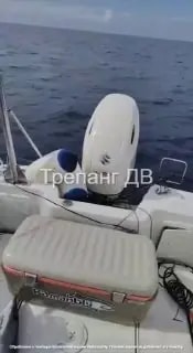 Рыбаки в Приморье четыре часа боролись с акулой мако
