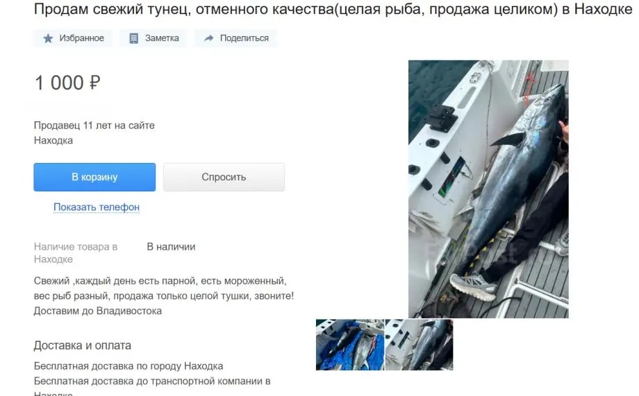 Сайты объявлений Приморья переполнены предложениями о продаже мяса тунца