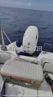 Рыбаки в Приморье четыре часа боролись с акулой мако