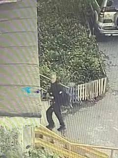 Жители Владивостока задержали напавшего на девушку в лифте мужчину