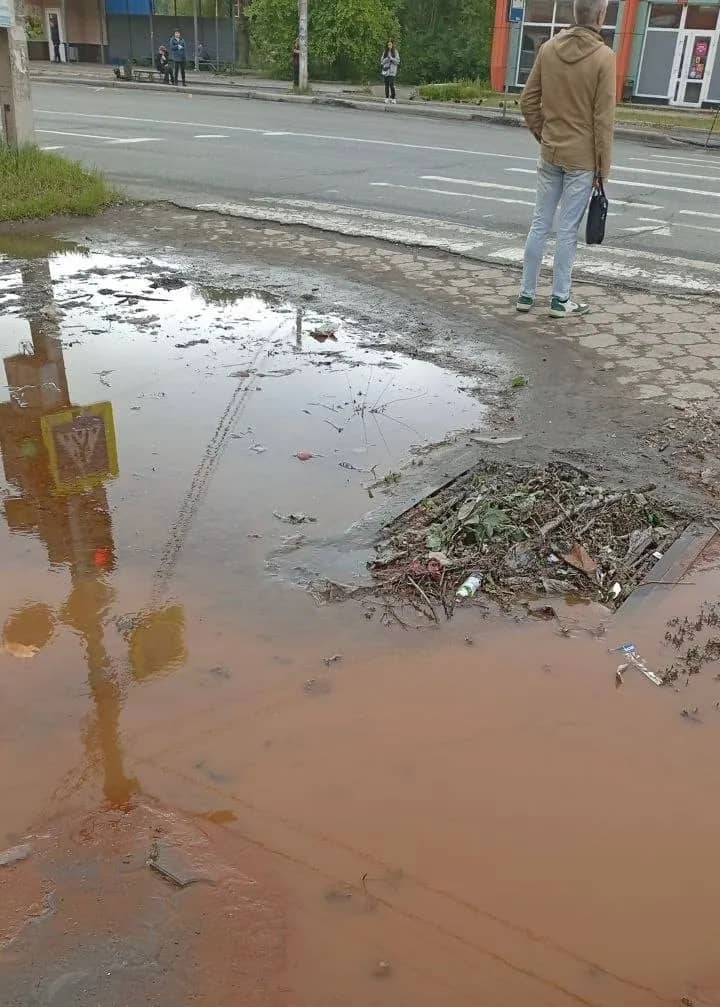 Ливневка на Находкинском проспекте зацвела головастиками