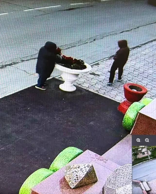 В Находке пенсионерка украла петунии у ТЦ Аквамарин