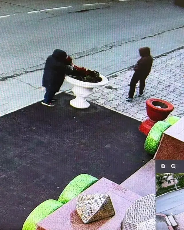 В Находке пенсионерка украла петунии у ТЦ Аквамарин