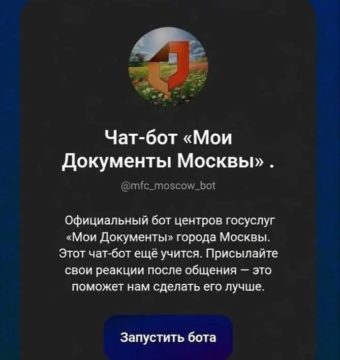 Запись на загранпаспорт в Москве обязали через мессенджер Max