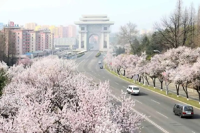 Автобусные рейсы из Владивостока в КНДР запустят до конца 2026 года
