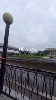 Спасатели сняли змею с перил у торгового центра во Владивостоке
