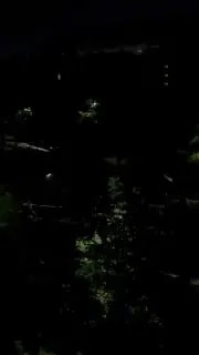 Жители Южного микрорайона жалуются на ночные крики подростков