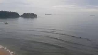 Видео с мыса Неприступный показало загрязнение моря углём