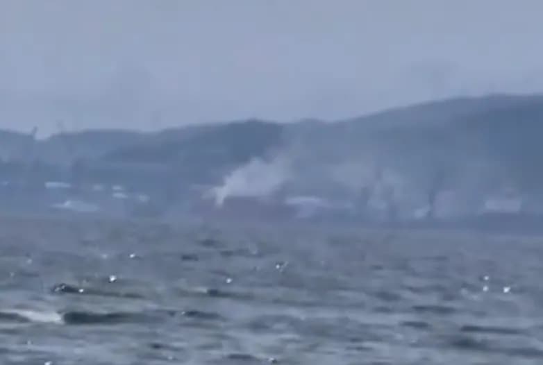 Видео: Жители Находки сняли открытую разгрузку глинозёма с пляжа Волна