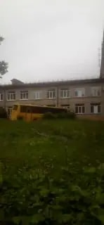 Территория школы №25 в Находке заросла сорняками и захламлена