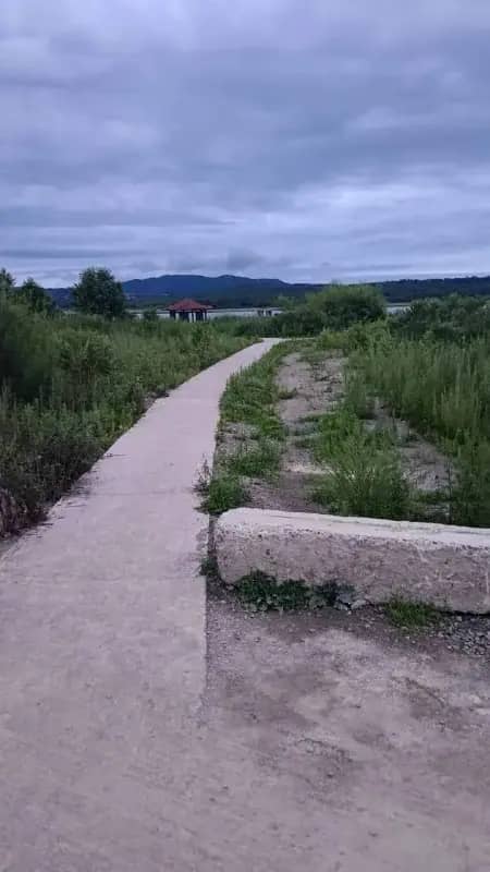 Полиция проводит проверку по факту ДТП в котором пострадала девочка