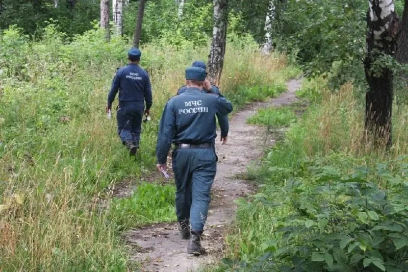 Спасатели нашли тела двух грибников в лесах Приморья