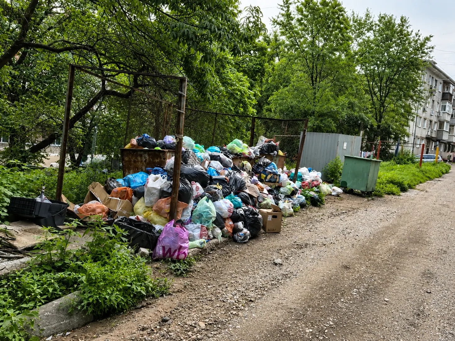 На Заводской улице Находки начался мусорный коллапс
