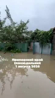 Жительница Спасска-Дальнего через соцсеть привлекла внимание властей к подтоплению дома