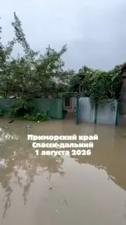 Жительница Спасска-Дальнего через соцсеть привлекла внимание властей к подтоплению дома