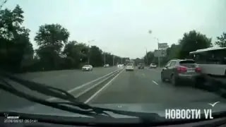 Во Владивостоке из движущегося автомобиля на дорогу выпали котята