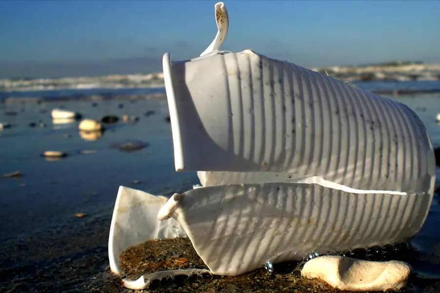 На пляжах Приморья предложили запретить одноразовую пластиковую посуду