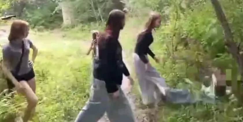 Всех участников избиения 13-летней девочки в Партизанске нашли и опросили