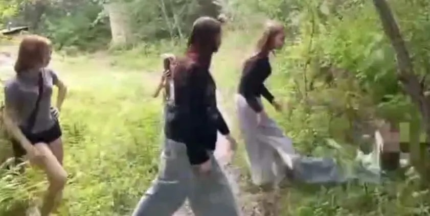 Всех участников избиения 13-летней девочки в Партизанске нашли и опросили