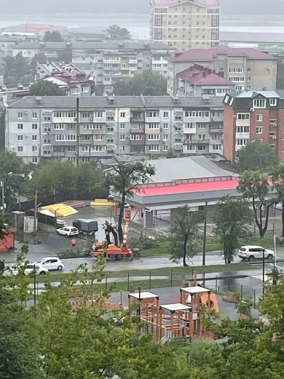 Горожане возмущены спилом высокой липы у АЗС на Дзержинского