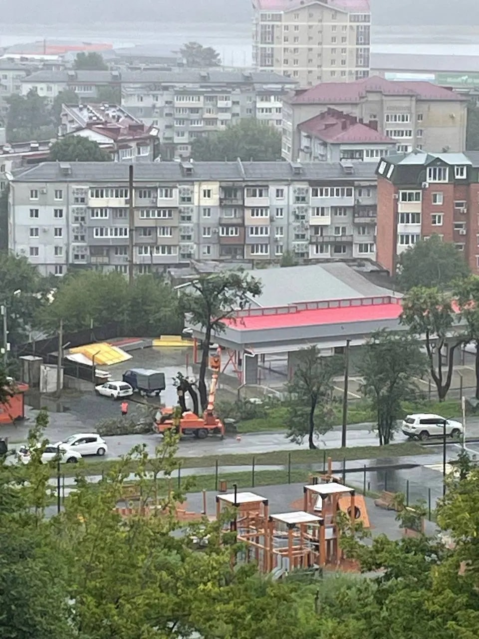 Горожане возмущены спилом высокой липы у АЗС на Дзержинского