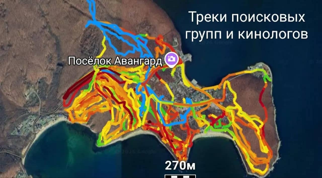 В Находке четвёртый день ищут пропавшую пенсионерку