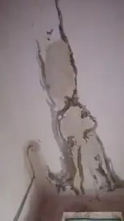 Жители дома на Находкинском проспекте жалуются на подтопление подъезда
