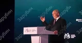СМИ показали тигра, которого Путин встретил в Приморье