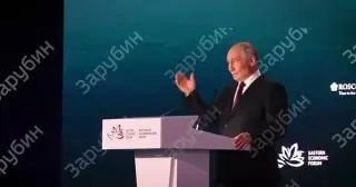 СМИ показали тигра, которого Путин встретил в Приморье