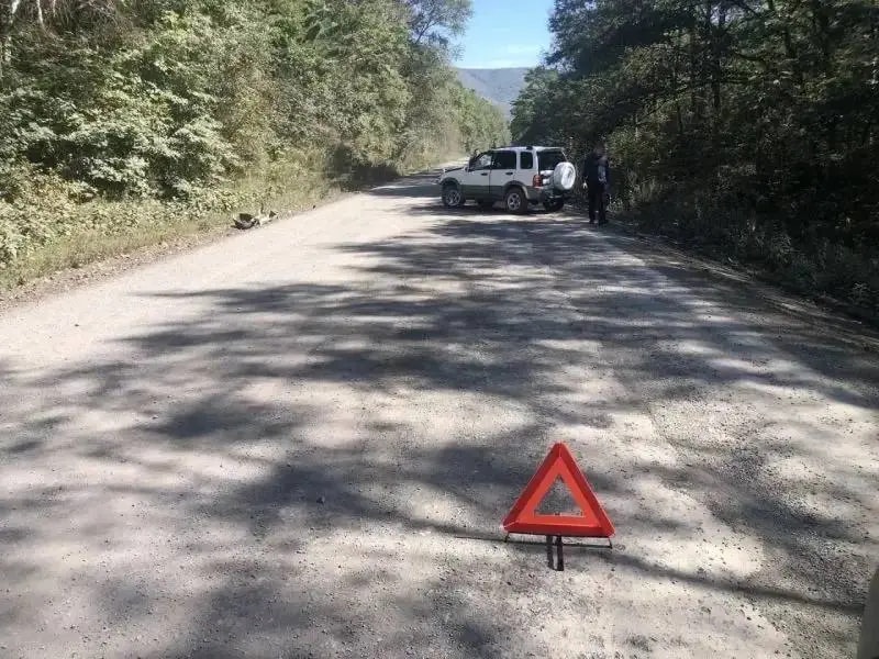В Приморье начинающий водитель погиб в ДТП на грунтовой дороге