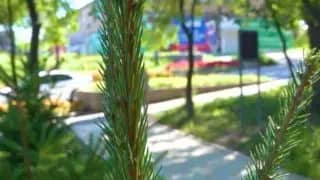 В Находке открыли новый сквер — администрация опубликовала видеообзор