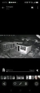 В Находке подростки украли весь урожай тыквы с огорода