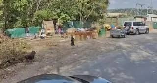 Приморец избил пенсионера из-за замечания о мусоре