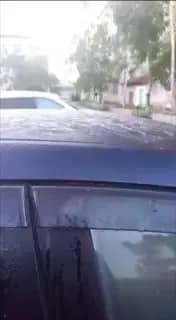 В Приморье ночью ударили заморозки