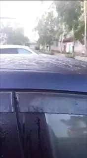 В Приморье ночью ударили заморозки