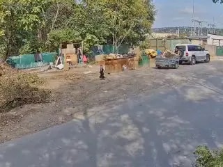 На приморца, избившего пенсионера, завели уголовное дело