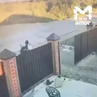 «Газель» сбила 11-летнего ребёнка на мопеде в Уссурийске