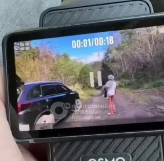 «Шишкари» напали на съёмочную группу ОТВ во время рейда в Приморье