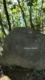 В Находке показали покоящийся под водой катер «Майами»